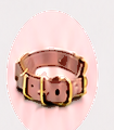 Collars