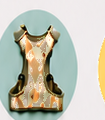 Harnesses