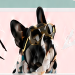 Dog wearing Bark N Swag accessories