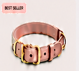 Blush Pink Collar