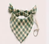 Sage Gingham Bandana
